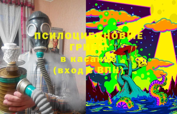 крисы Алзамай