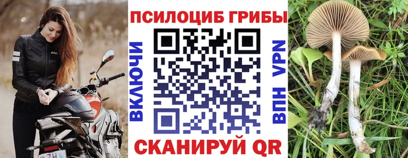 Псилоцибиновые грибы Psilocybe  мориарти наркотические препараты  Мегион  как найти  